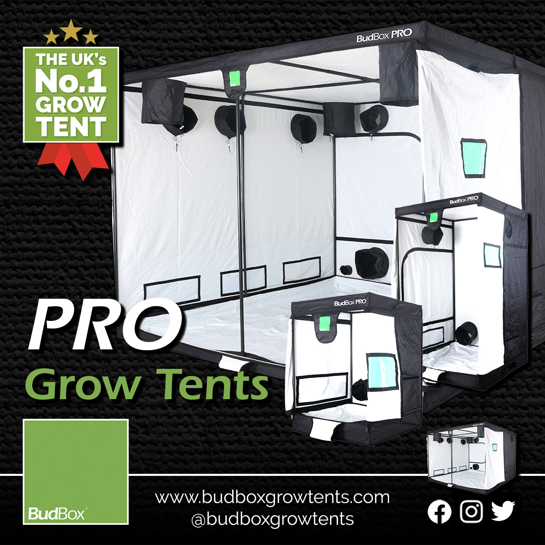 BudBox Grow Tents The UK's Best Grow Tents